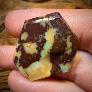 🔨 AUCTION 🔨 41.7cts - Yowah Nut Opal Rub Rough Boulder Preform