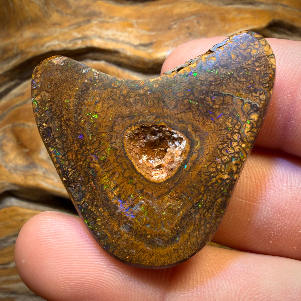 Bargain big boy Card ! 125.3cts - Massive Top Tan Tight Tribal Queensland Boulder Opal from Yowah