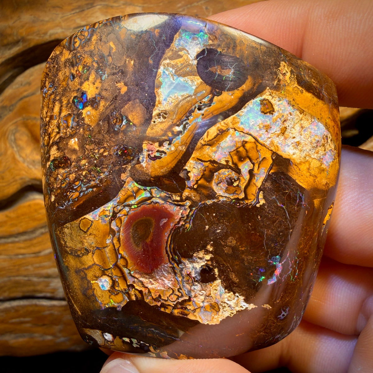 678,5 cts - Grand spécimen poli d'opale boulder australienne tribale