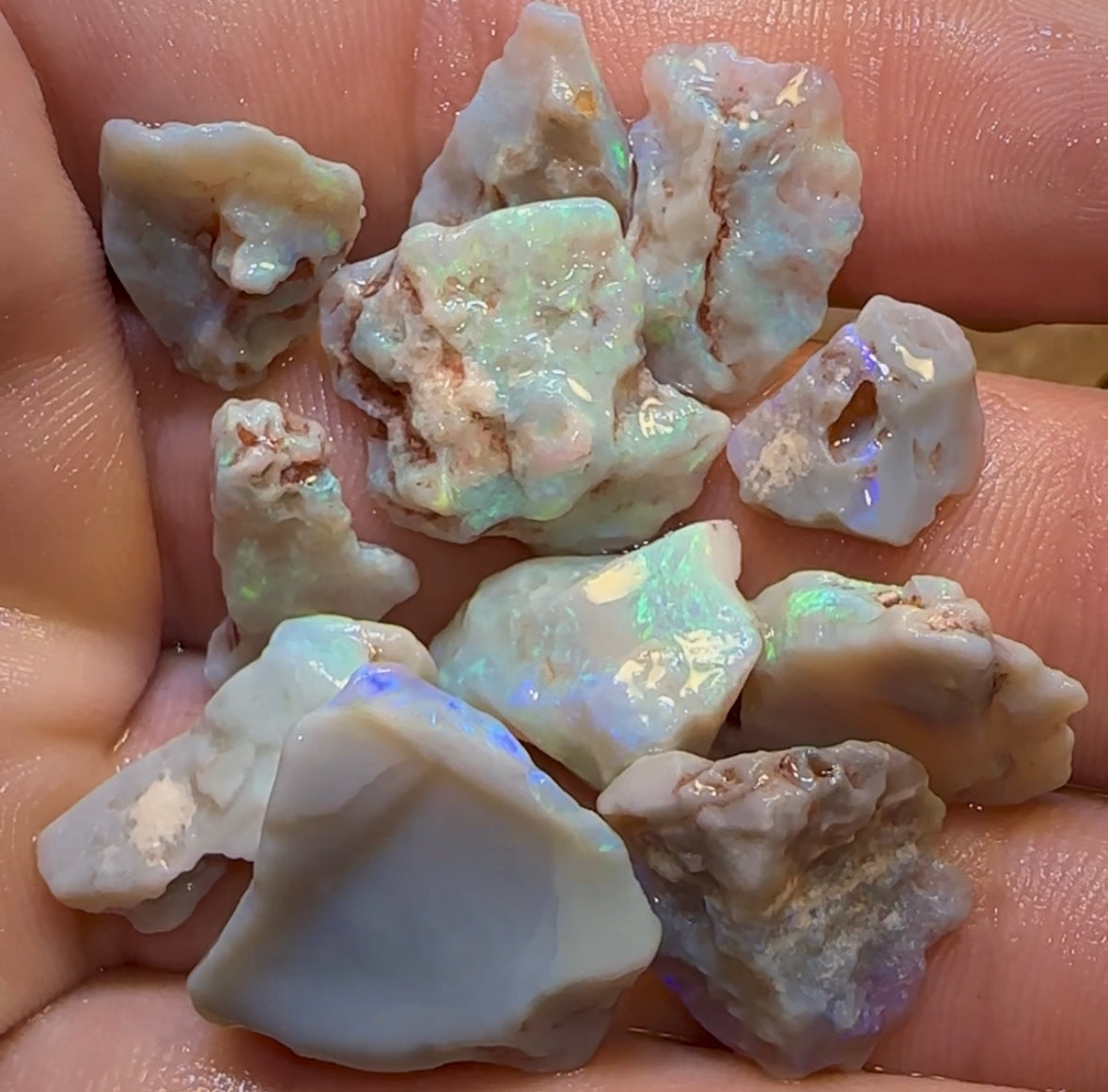 58.55cts - 11x Lightning Ridge Dark and Light Opal Rough Parcel - Opal Whisperers
