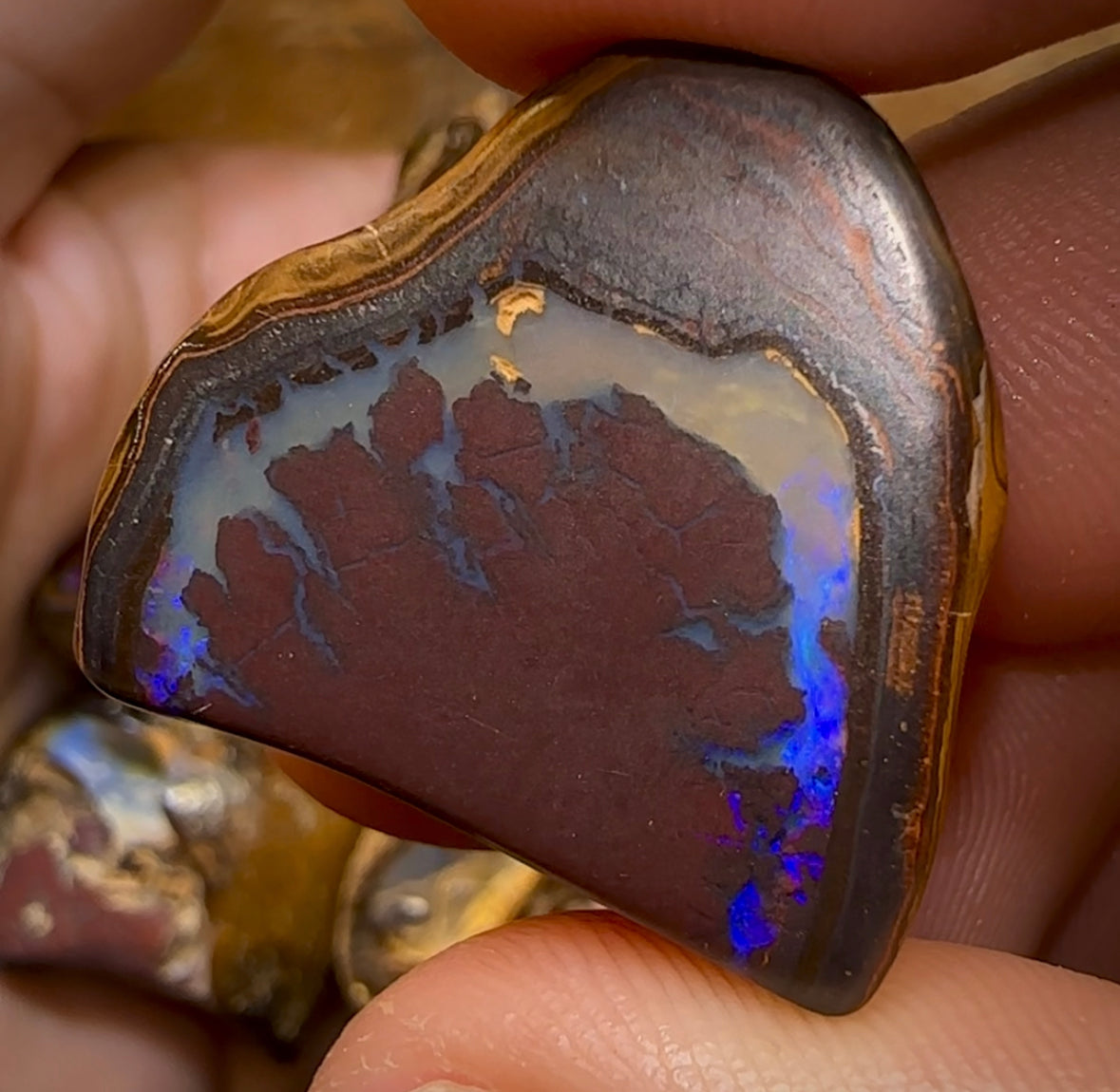 (Template) 143.5g- 10x Queensland Boulder Opal Baroque Specimens - Opal Whisperers