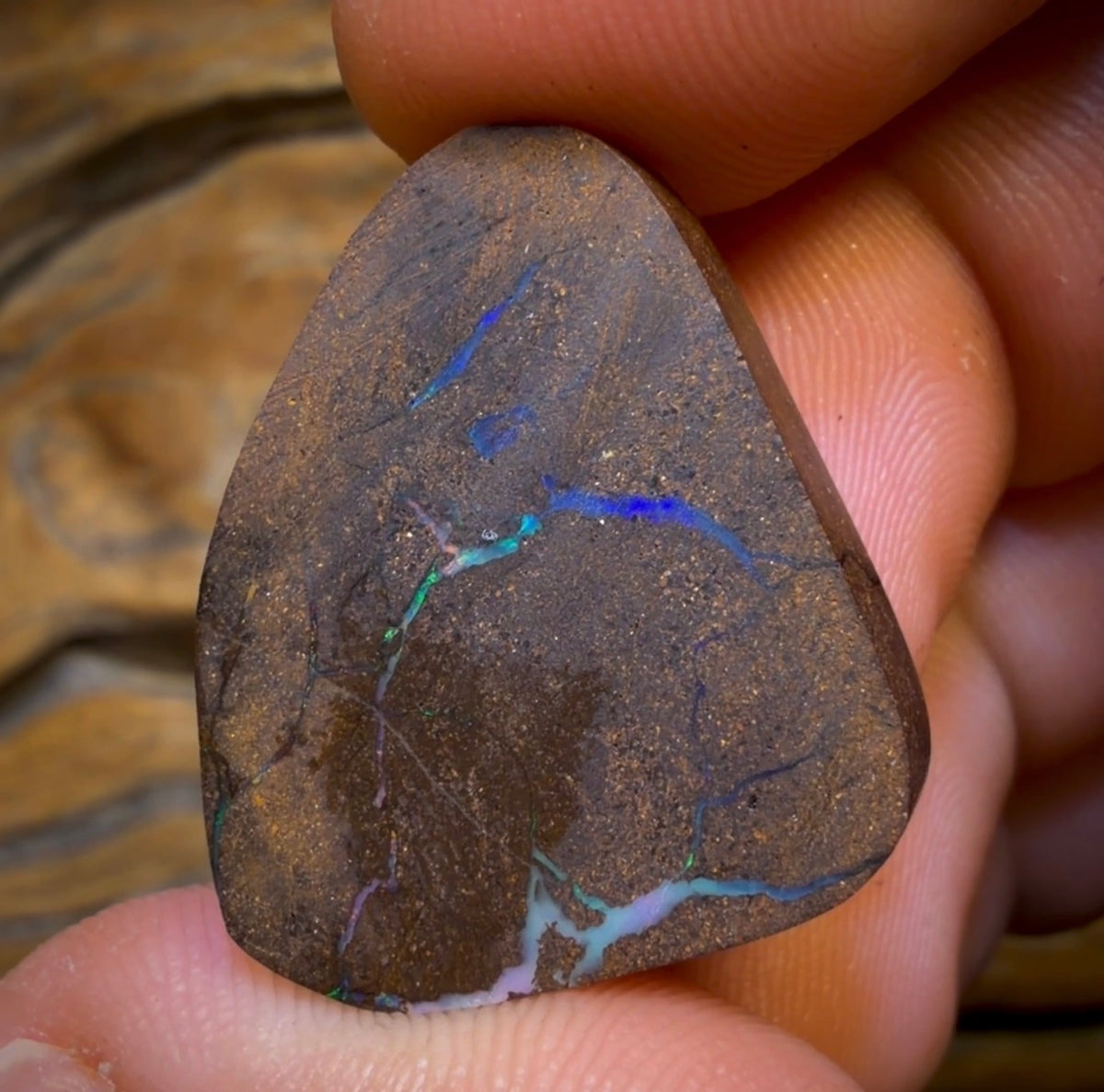 31.2cts - Queensland Boulder Seam Opal. Multicolours!