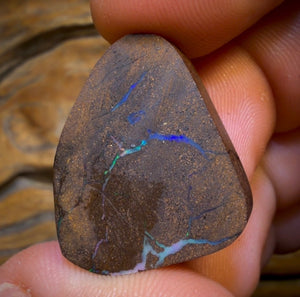 31.2cts - Queensland Boulder Seam Opal. Multicolours!