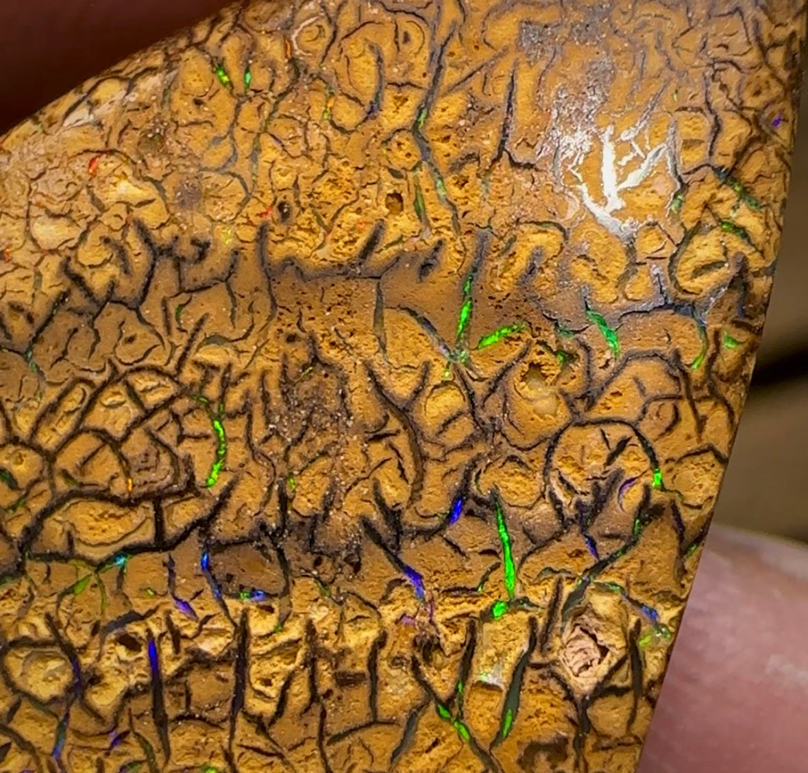 78.5cts - Intricate Tribal Pattern Yowah Nut Opal Pair - Opal Whisperers