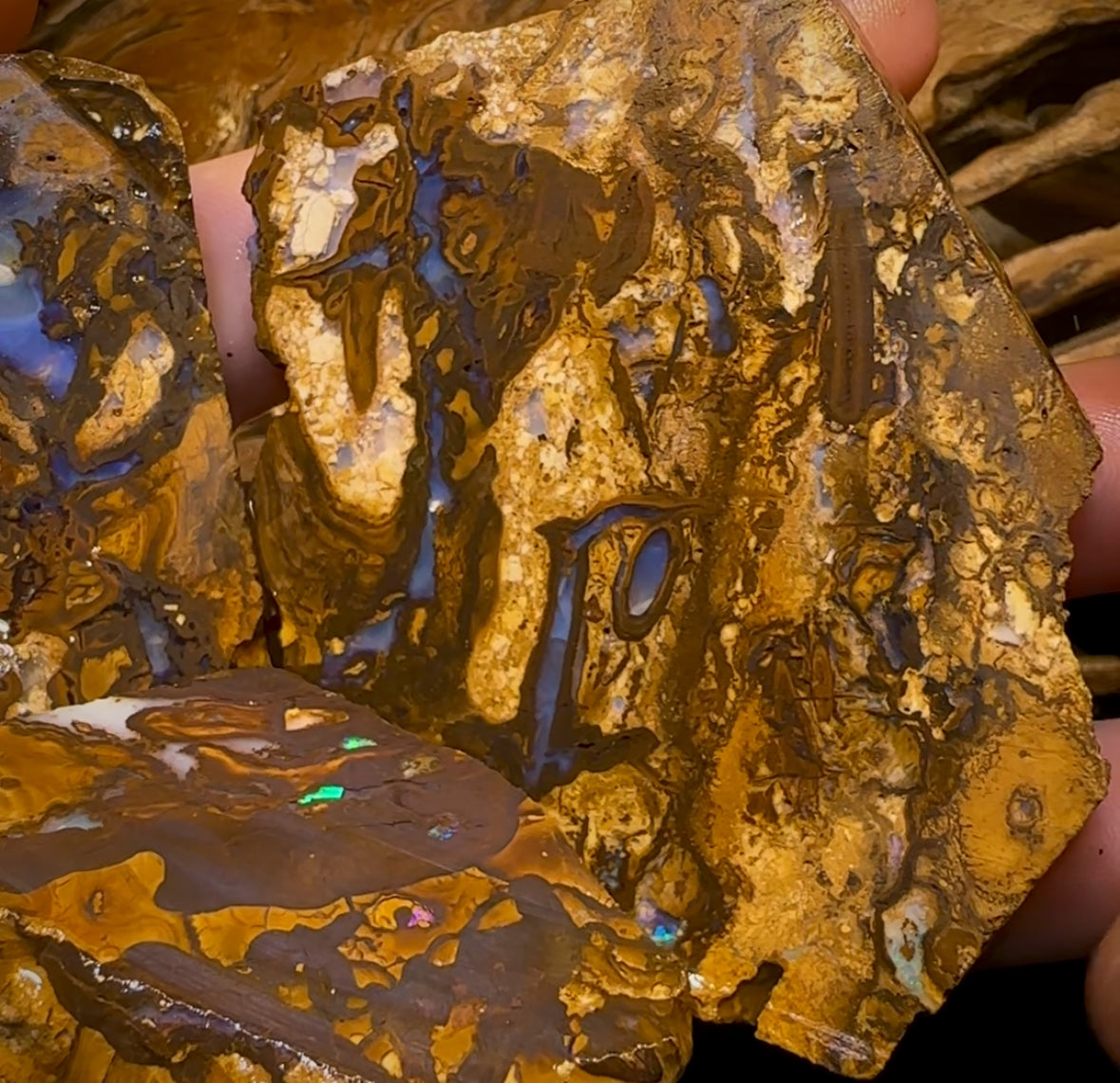 1017cts - 5x Queensland Boulder Rough Opal Parcel