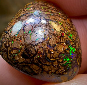 16.6cts - Yowah Nut Opal. Tribal Pattern