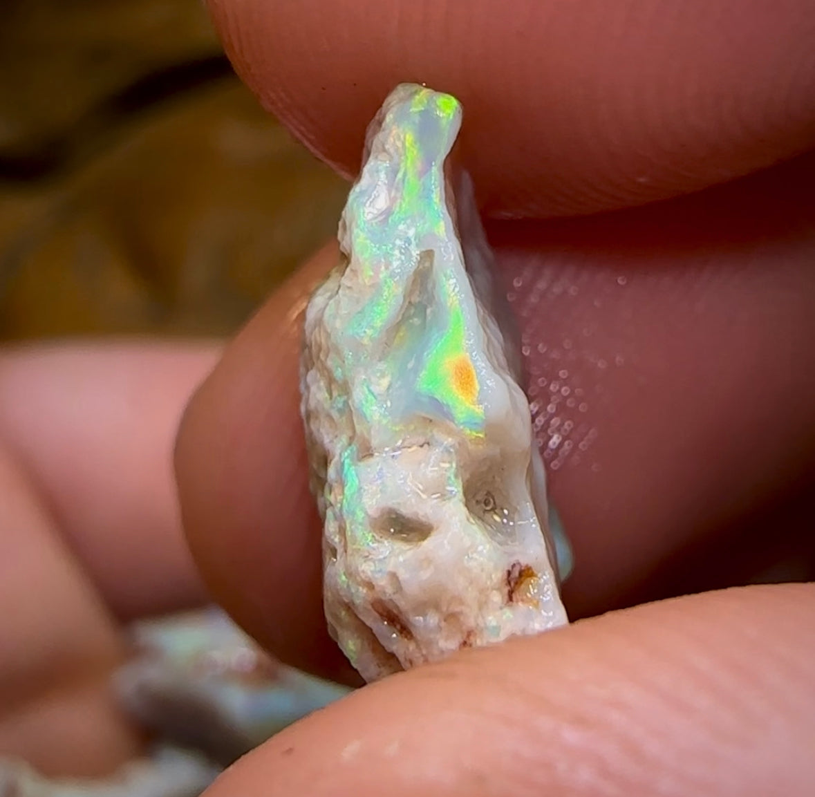 (Template) 62.45cts - 14x Lightning Ridge Crystal, Dark and Light Opal Rough - Opal Whisperers