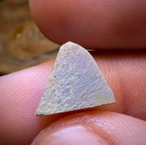 Auction Fall-Through = Your Gain! 🔥 Now More Than 50% Off RRP 🚨 3.2cts - South Australian Crystal Opal Rub