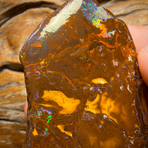 331.3cts - Queensland Boulder Opal Rough Rub from Yowah