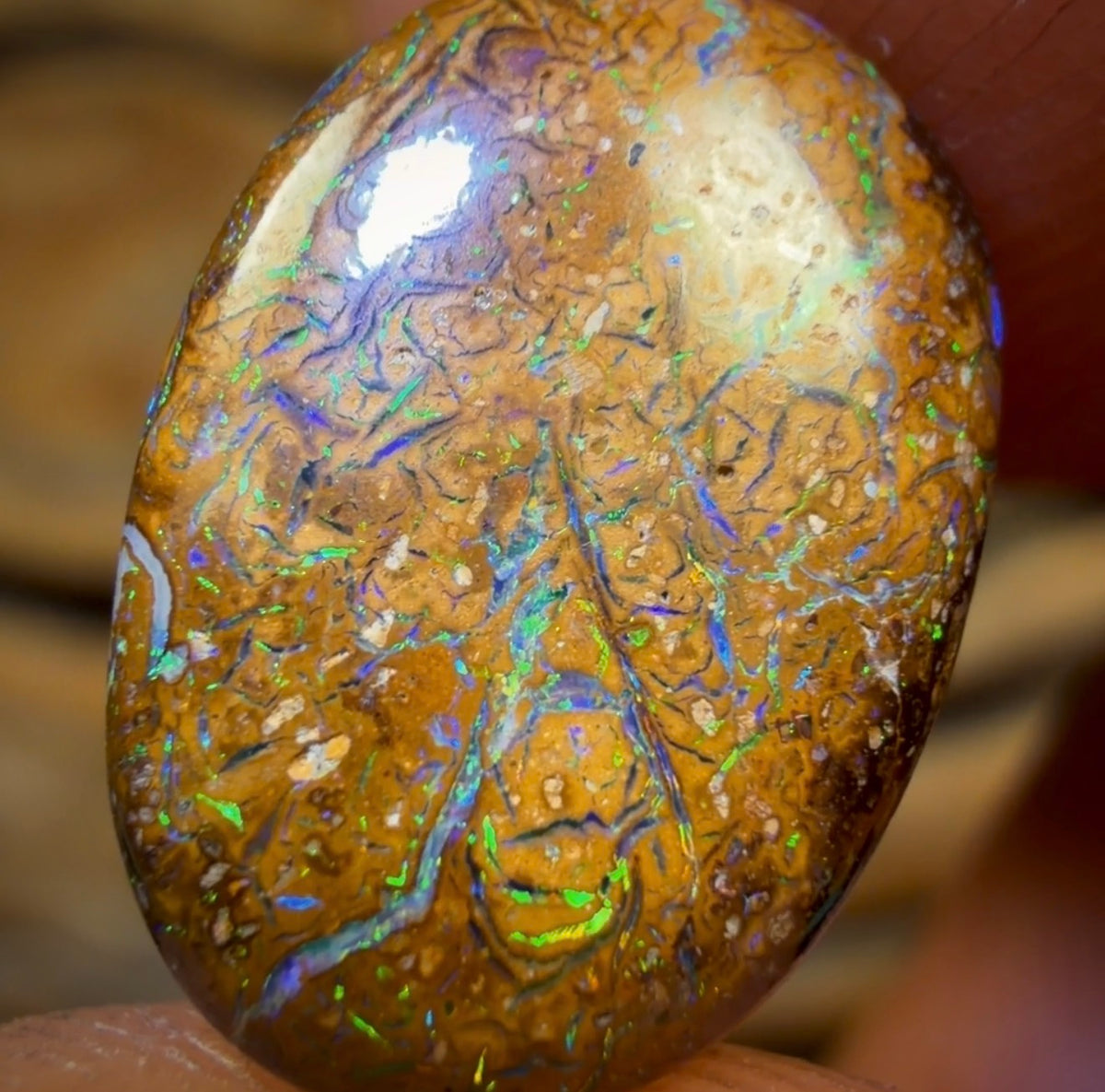 4.7cts - Tan Tribal Yowah Nut Opal. Australian Opal