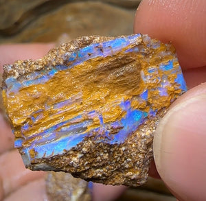 105.4cts - 6x Queensland Boulder Opal. Fossil Wood Replacement - Opal Whisperers