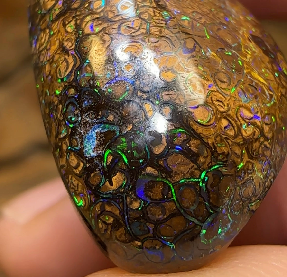 29.8cts - Yowah Boulder Opal. Australian Opal with Electric Tight Tan Tribal Pattern - Opal Whisperers