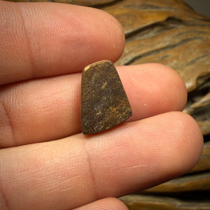 7.7cts - Queensland Boulder Opal. Australian Opal