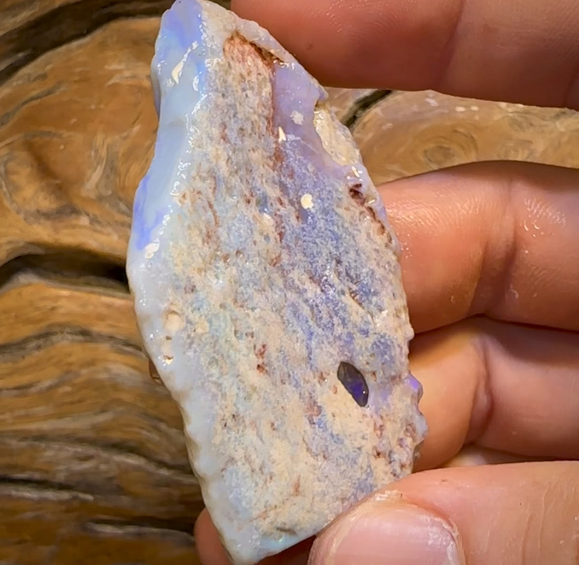 115.5cts - Lightning Ridge Opal Rough Piece. ISAACS CHOICE