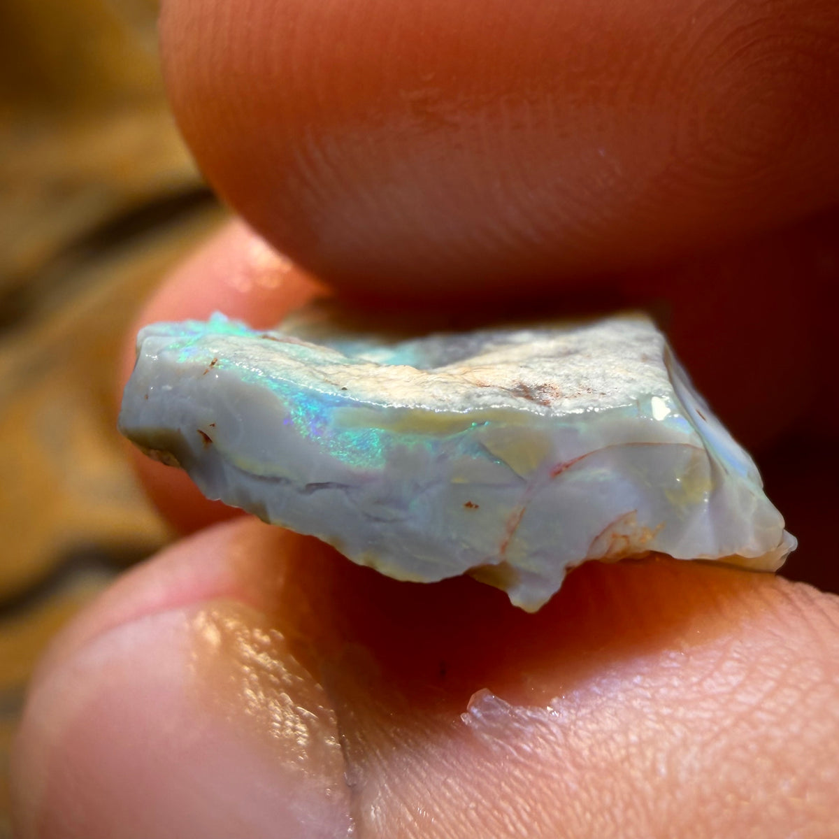 8.6cts - Lightning Ridge Dark Opal Rough Piece