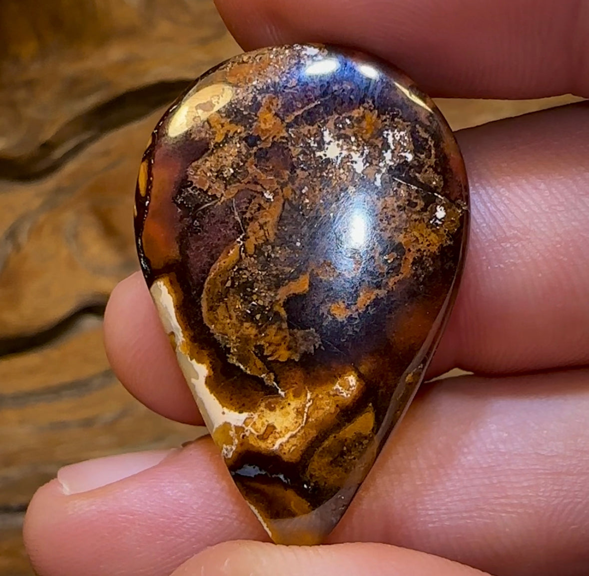 32.5cts - Queensland Boulder Opal from Yowah - Opal Whisperers