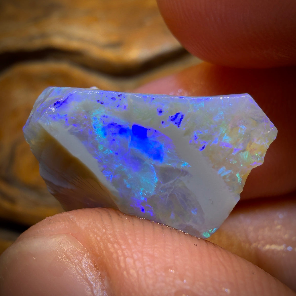 🔨 AUCTION 🔨 19.1cts - Lightning Ridge Opal Rough Piece. Isaac’s Cutter’s!