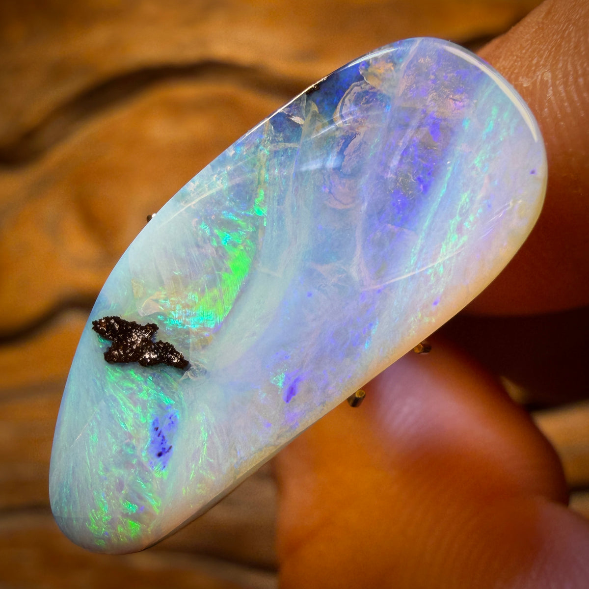 Bargain Card! 12.9cts - Queensland Boulder Seam Opal