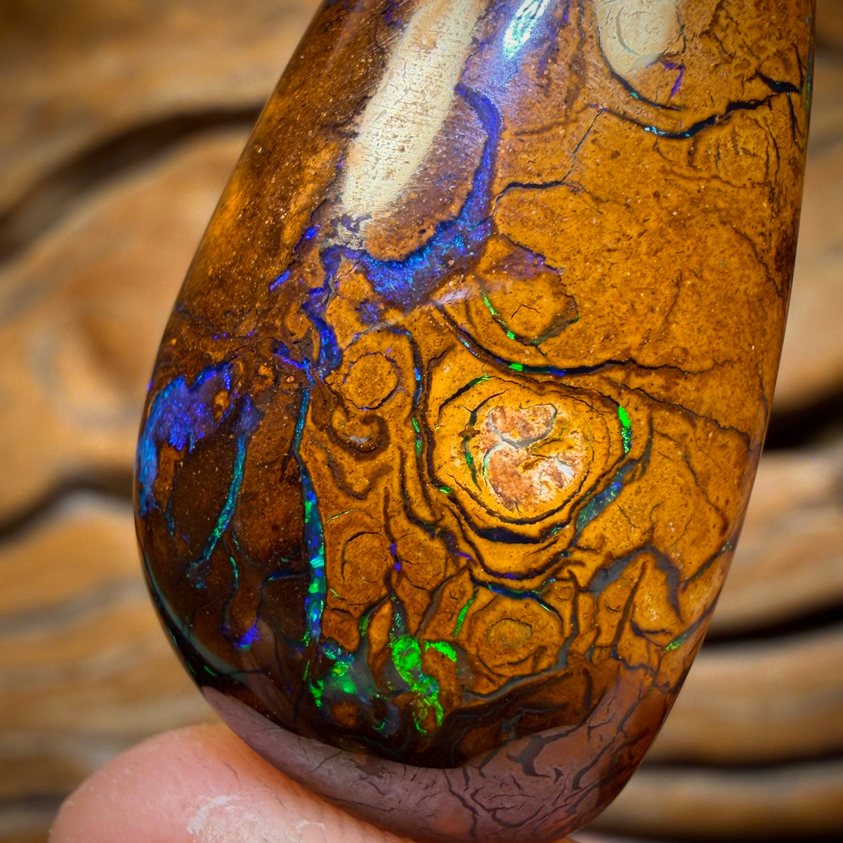 Half Price Card! BIG 69.8cts - Tribal Queensland Boulder Opal from Yowah