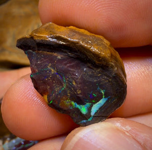 🔒 221,6 cts - Lot de 5 opales brutes Yowah Nut. Opale boulder australienne.