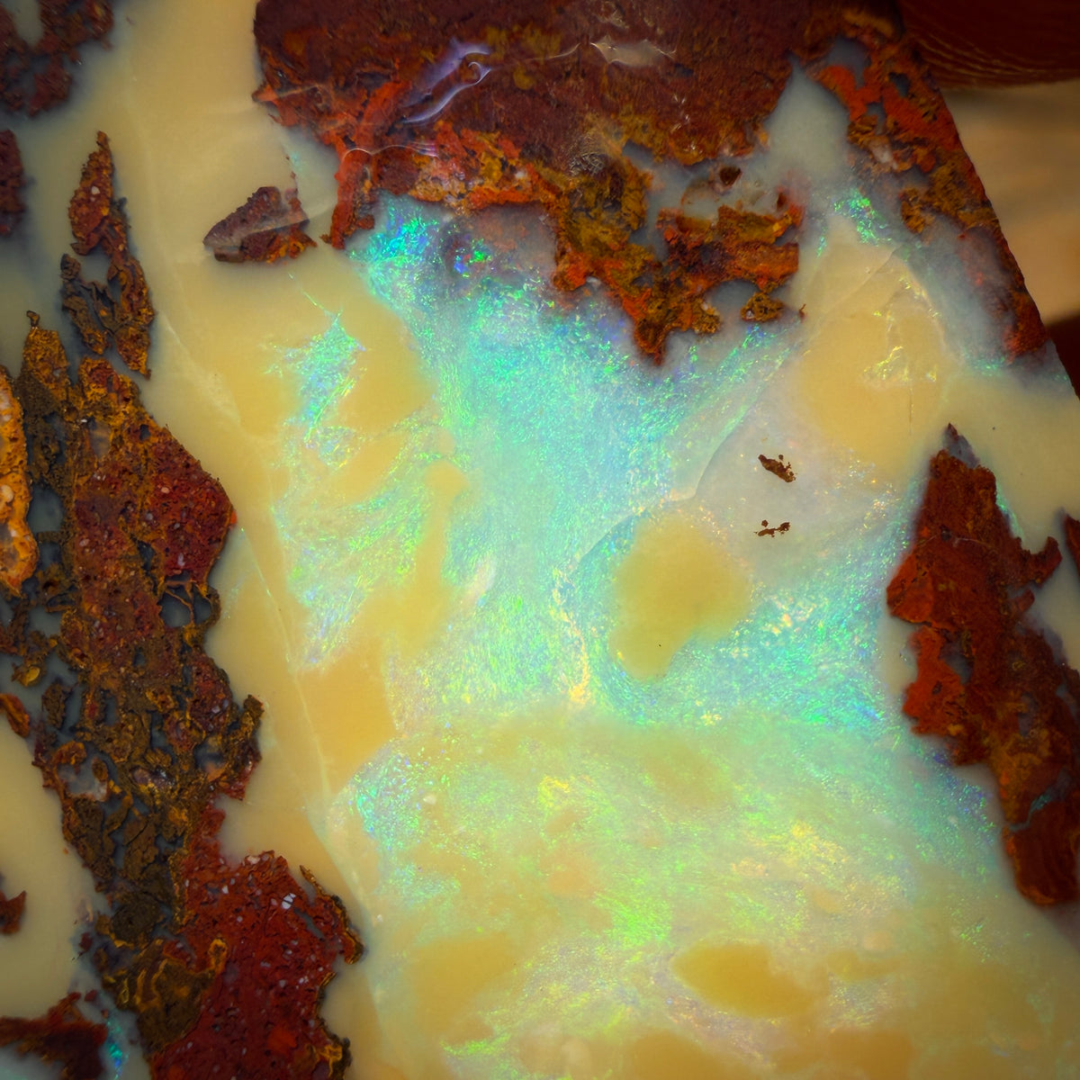 41.7cts - Yowah Nut Opal Rub Rough Boulder Preform