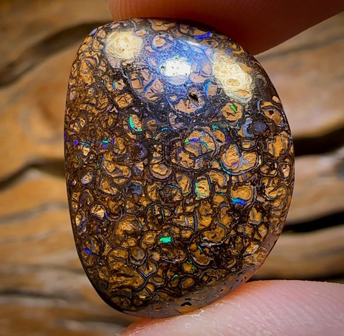 🔨 AUCTION 🔨 29.1cts - Tribal Australian Boulder Opal from Yowah