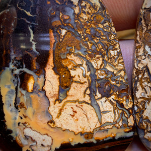 99.3cts - Tribal Queensland Boulder Opal Pair Picture Stones