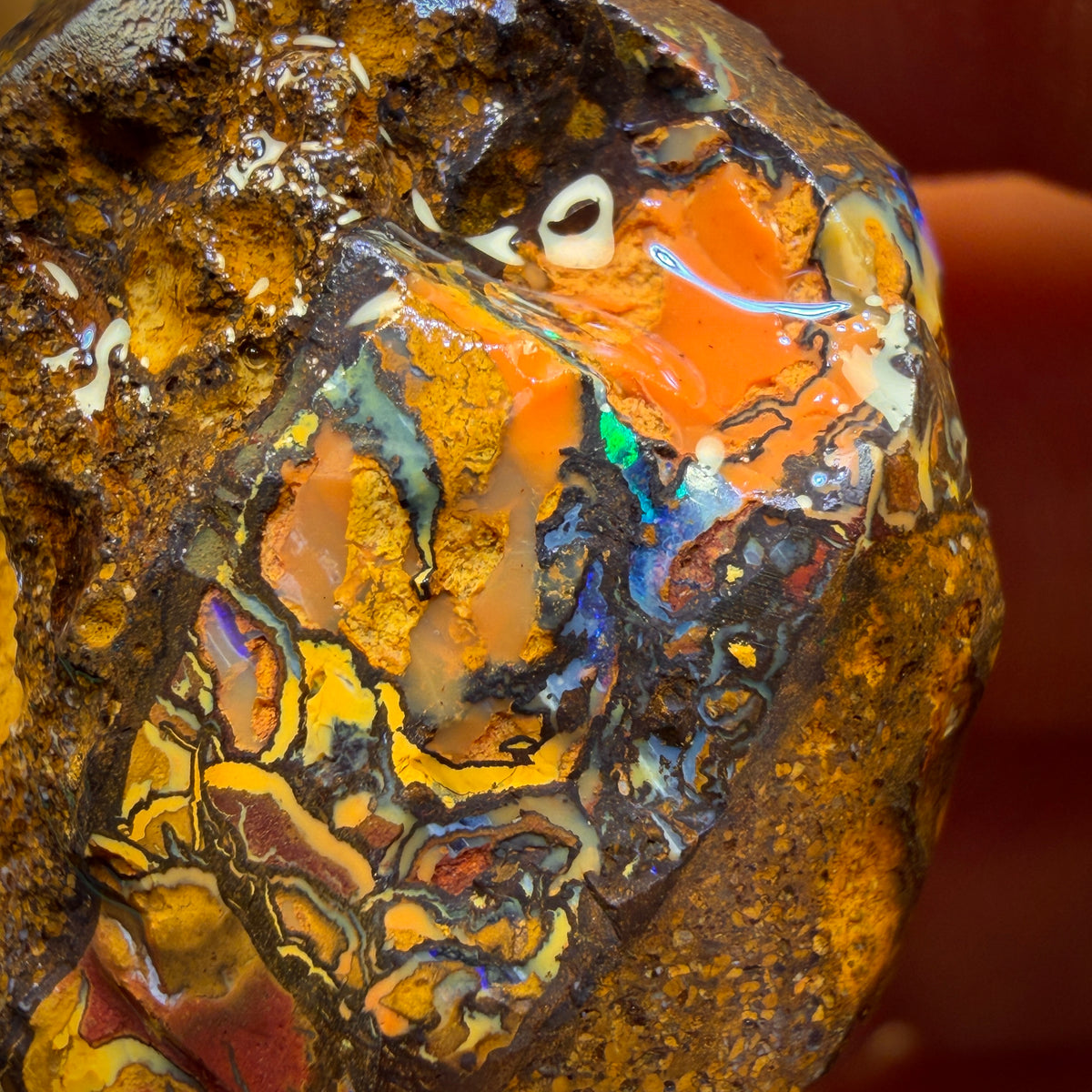 106.7cts - Awesome Tribal Yowah Nut Opal Rough Piece. Found on ‘OUTBACK OPAL HUNTERS’!!