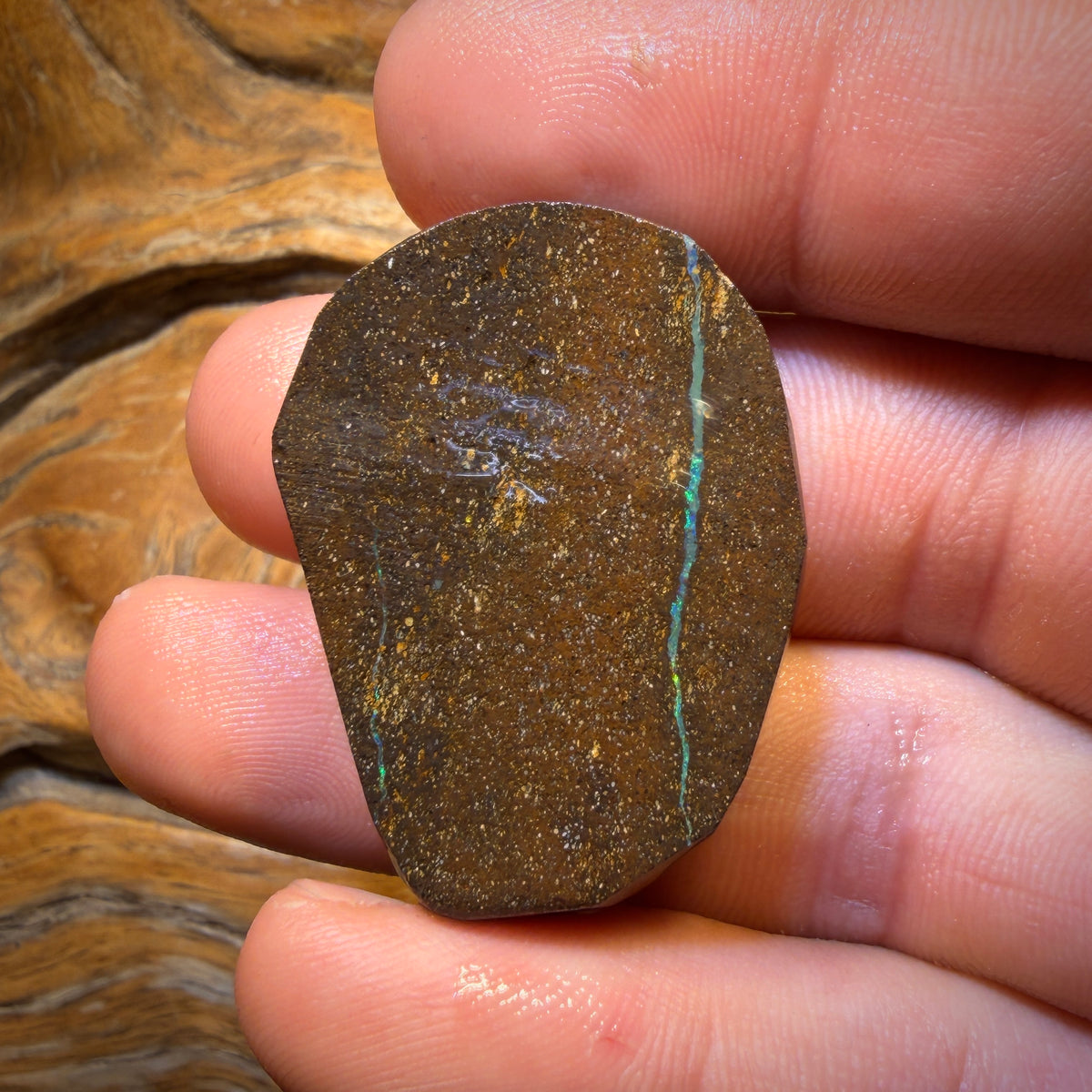 103.3cts - Dremel Dream Queensland Boulder Seam Opal Rough Piece. Natural Split
