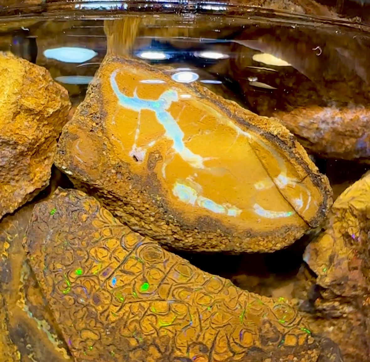 133.1g - Jar of Rough Australian Boulder Opal - Opal Whisperers