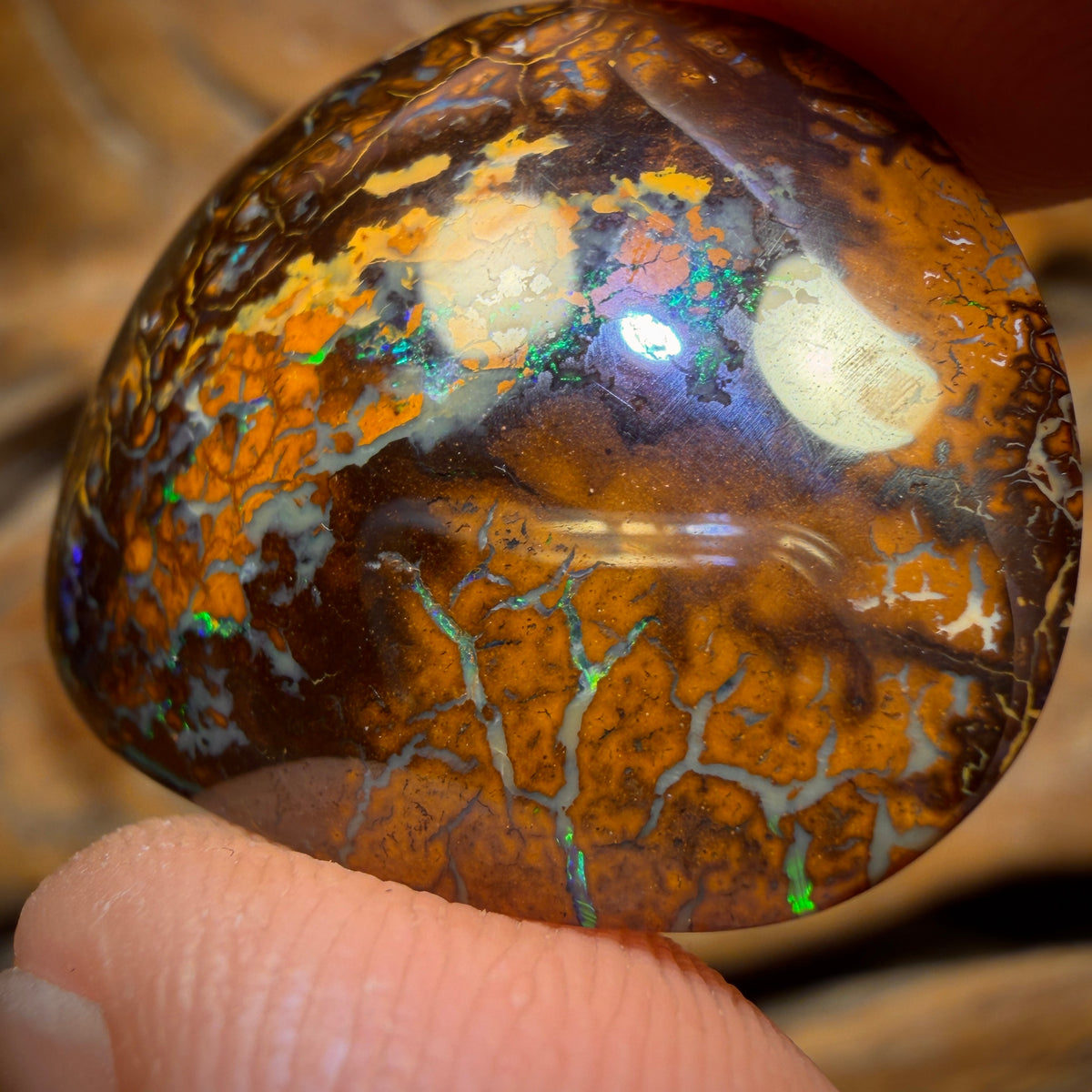 41.4cts - Tribal Koroit Nut Opal. Australian Opal