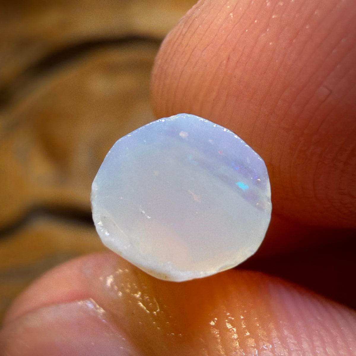 10.1cts - Opalised Belemnite Geological Specimen from South Australia