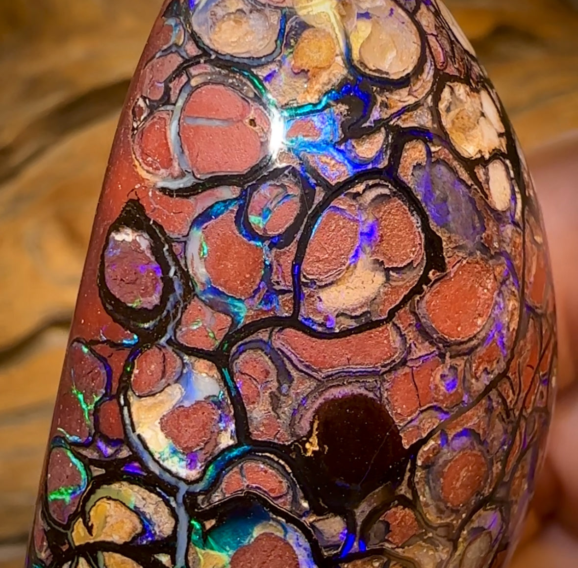 396.1cts - ISAACS CUT!! Large Top Tribal Queensland Boulder Opal Polished Specimen