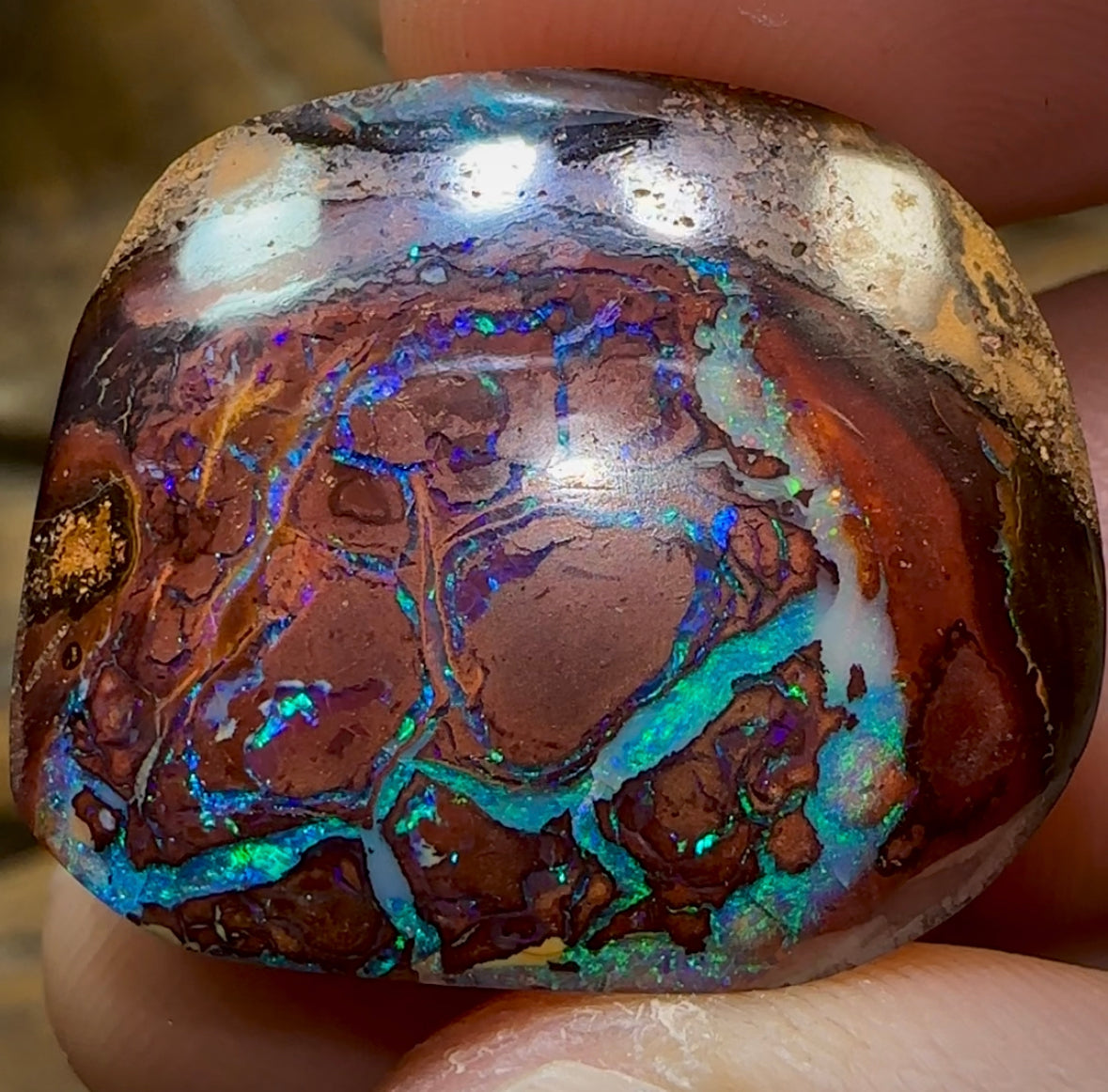 50.3cts - Tribal Australian Boulder Opal. Aquatic Pattern - Opal Whisperers