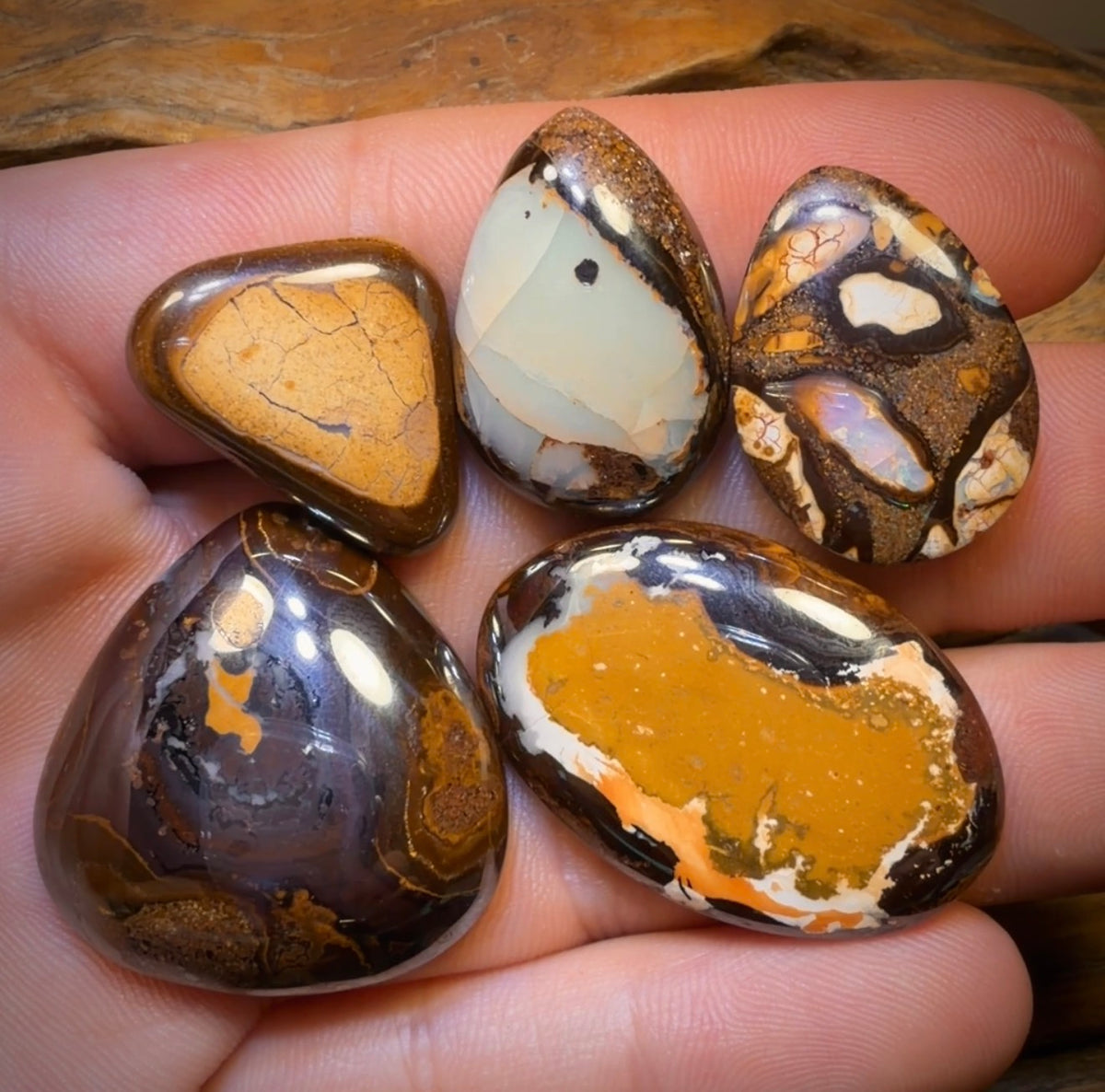 169.6cts - 5x Australian Boulder Opal’s. Wholesale Dealers Parcel