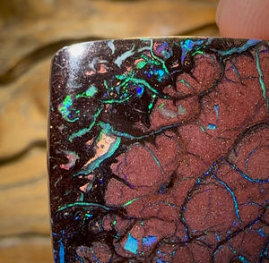 87.1cts - Australian Boulder Opal. Top Tribal