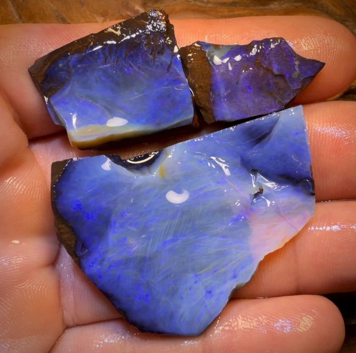 🔒 I’ve Got the Blues Collection 124cts - 3x Australian Boulder Seam Opal Rough Parcel