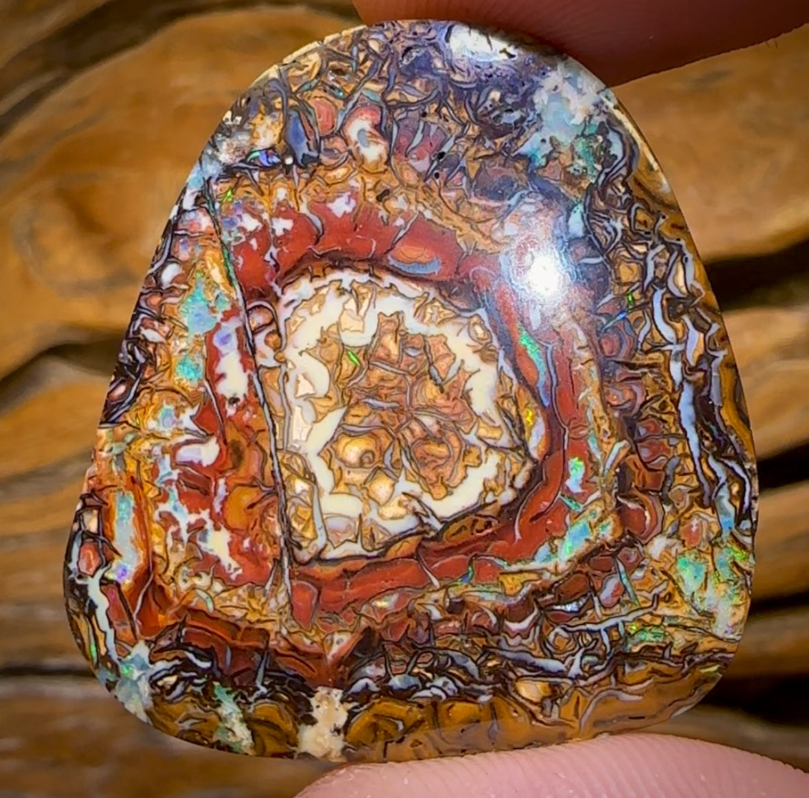 68.1cts - Top Tribal Yowah Nut Opal. Australian Opal