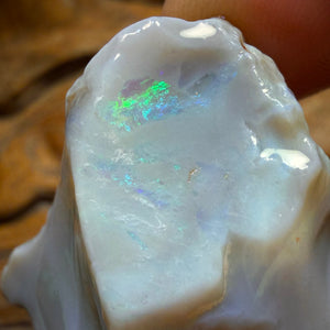Wildcard! 76.5cts - Lightning Ridge Dark Opal Rough Piece