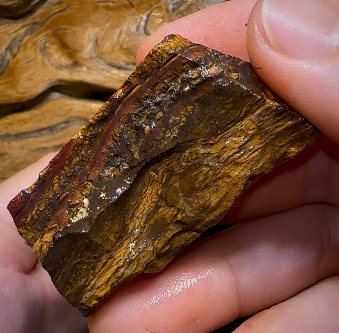 400.4g- 5x Large Queensland Boulder Opal Rough Pieces - Opal Whisperers