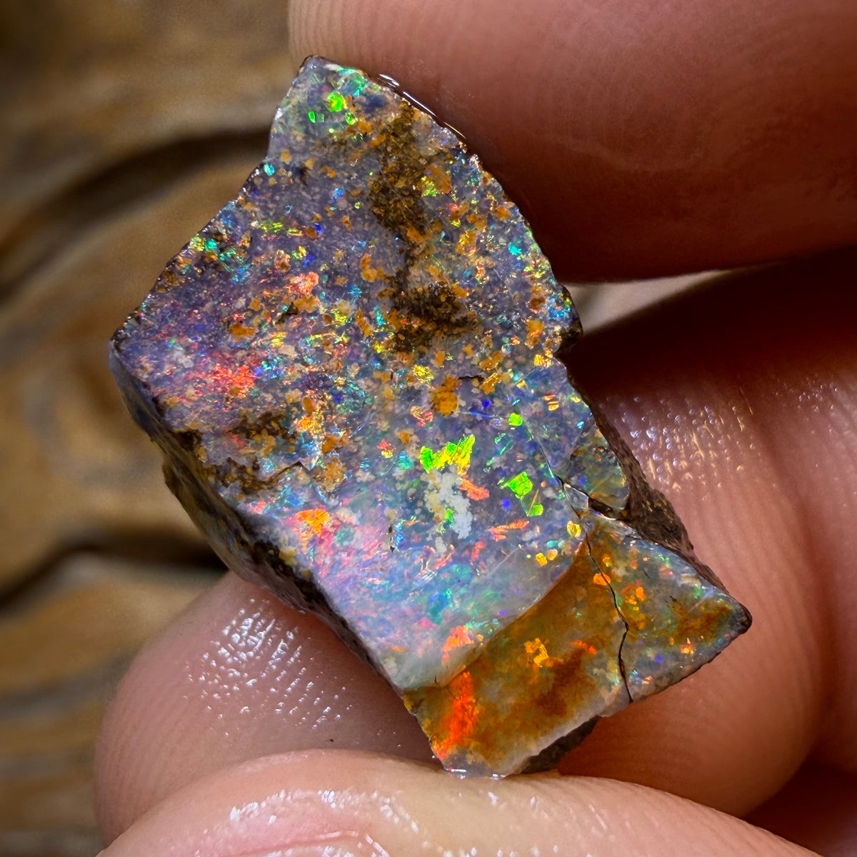 HDW 17.3cts - Queensland Boulder Seam Opal Rough Piece. Natural Split