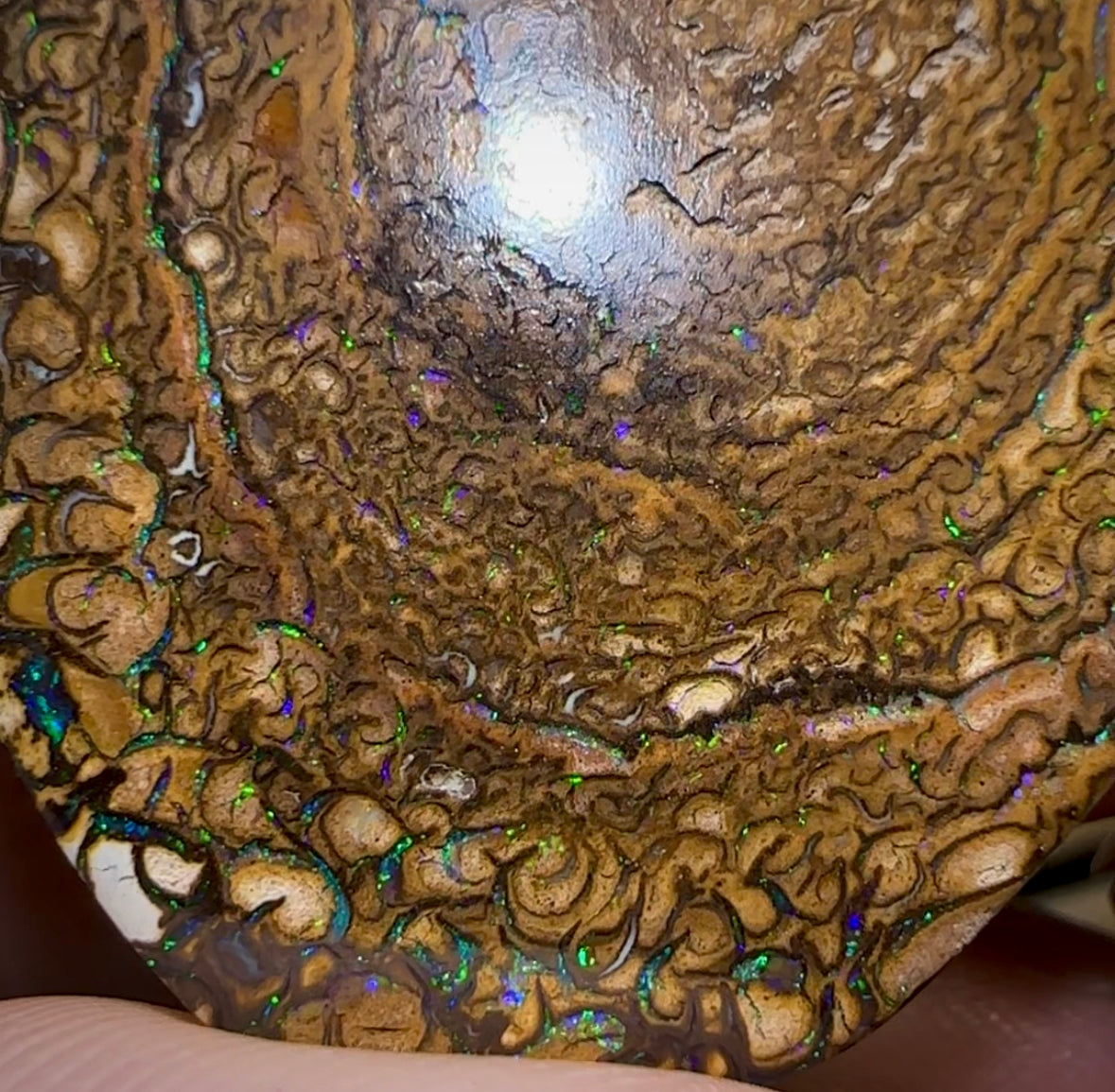 157.8cts - Yowah Nut Opal Matching Pair. Tribal Pattern - Opal Whisperers