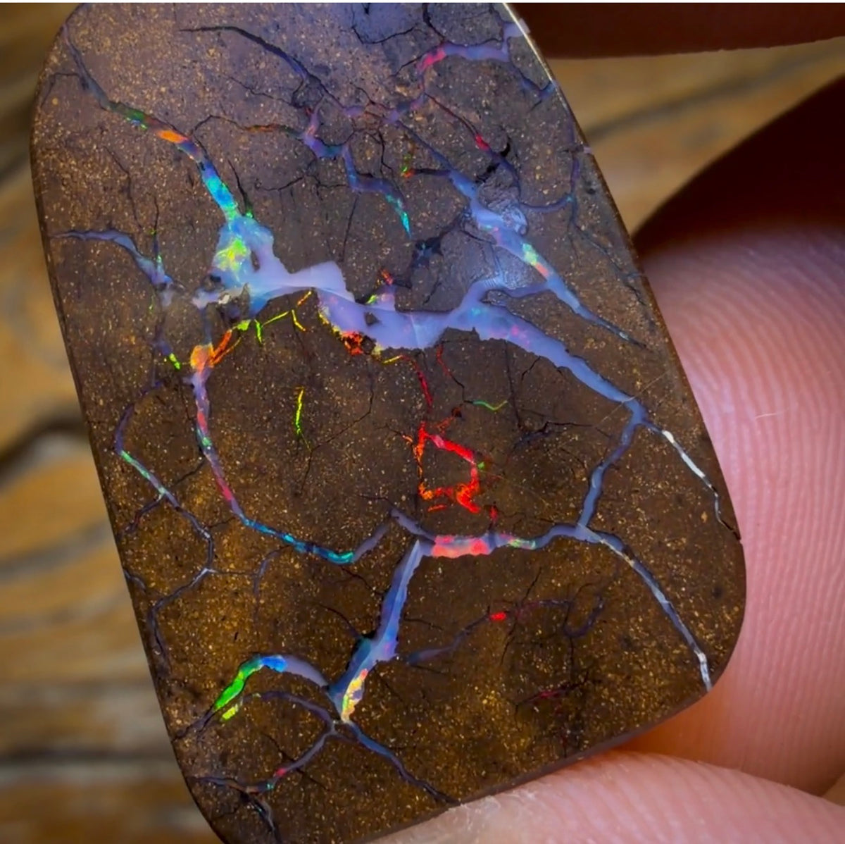 35.6cts - Queensland Boulder Seam Opal. Red Multicolours!