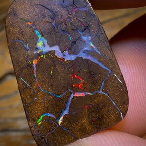 35.6cts - Queensland Boulder Seam Opal. Red Multicolours!
