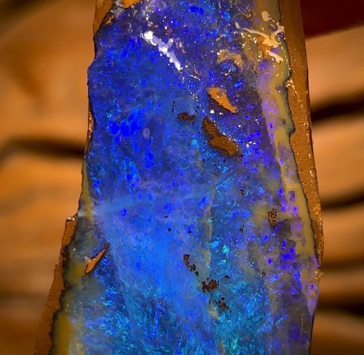 Bargain Card! 11.4cts - Queensland Boulder Seam Opal Rough Piece