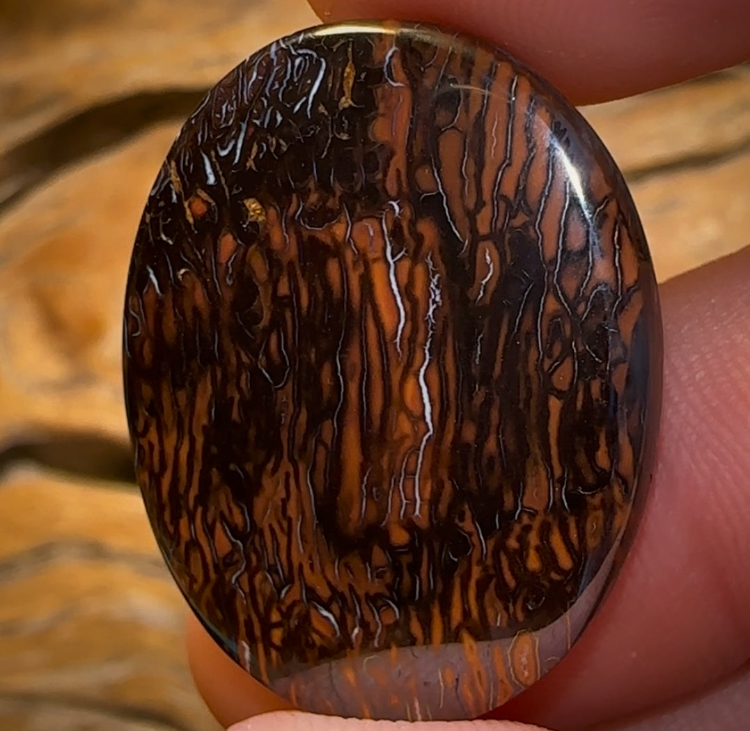 45.3cts - Queensland Boulder Opal from Koroit