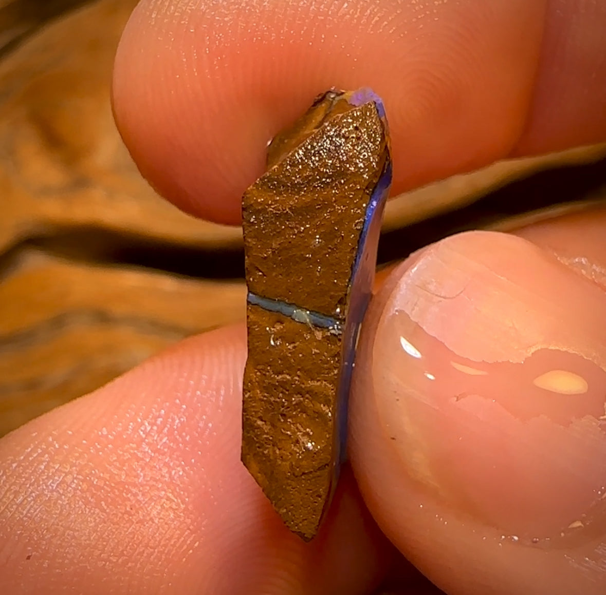 Bargain Card! 11.4cts - Queensland Boulder Seam Opal Rough Piece