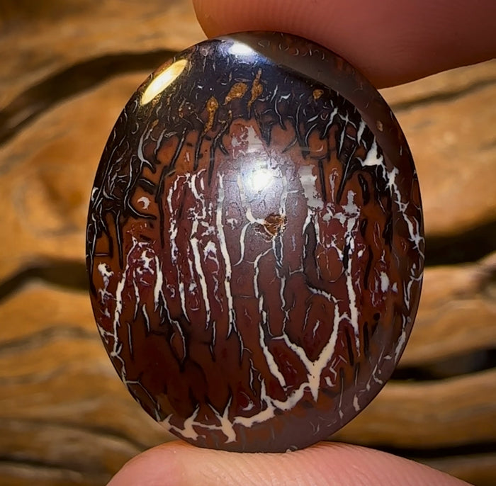 🔨 AUCTION 🔨 45.3cts - Queensland Boulder Opal from Koroit