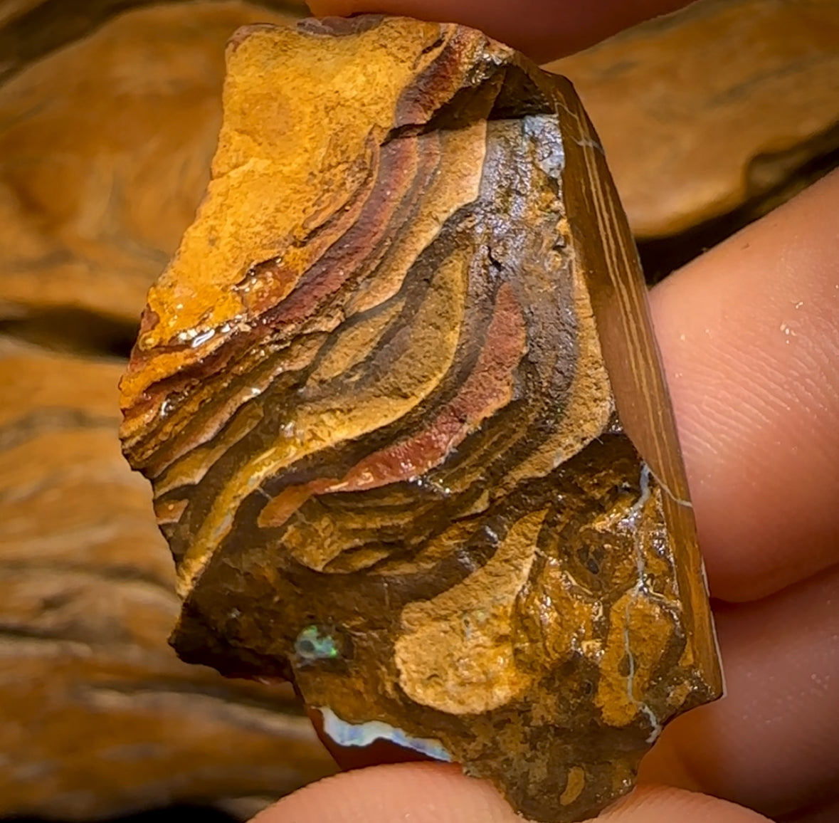 126cts - Queensland Boulder Seam Opal Rough Piece