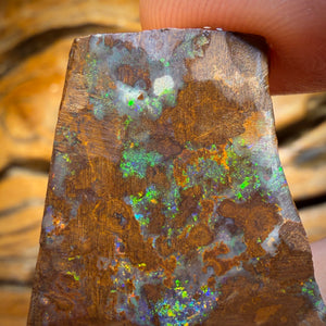TGIF 70.2cts - Queensland Boulder Seam Opal Rub